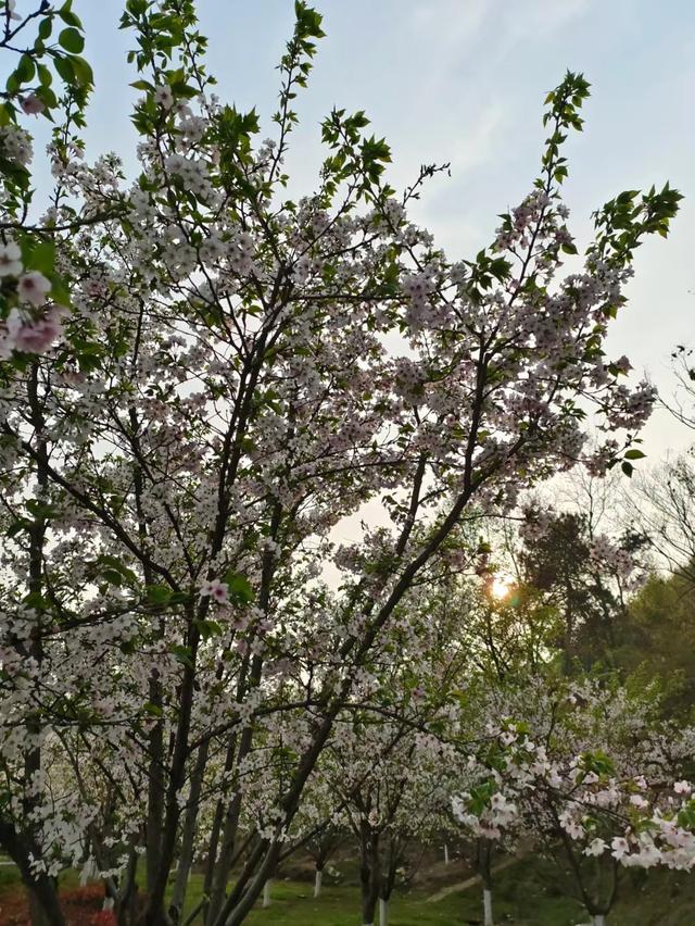 屈原故里（2021.3.15 宜昌·秭归）