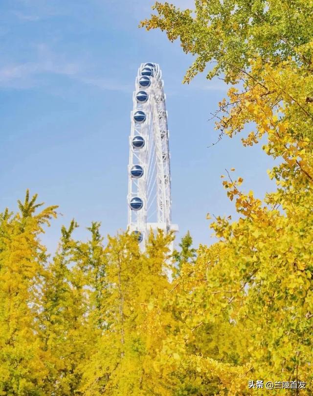 好客山东好品山东| 临沂的秋天，这10处绝美打卡地别错过！先收藏慢慢逛~