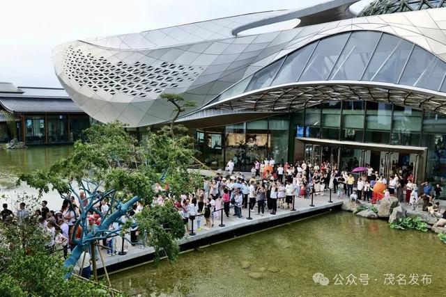 茂名新观察⑧ | 柏桥服务区为何这么“火”