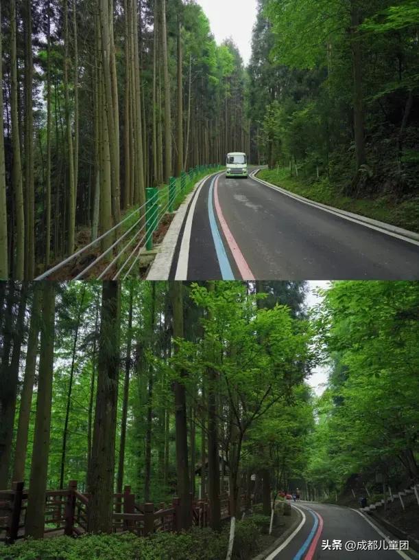 10条初秋徒步线路，去草甸、果园、森林里找秋天