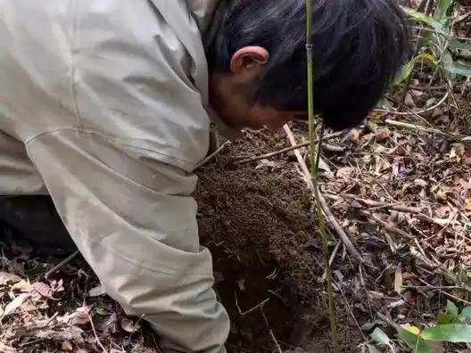 地方文旅捡漏流量！荒野直播爆火，小众景区迎来新机遇
