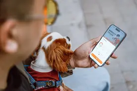 “毛孩子们”，坐上时代快车图片