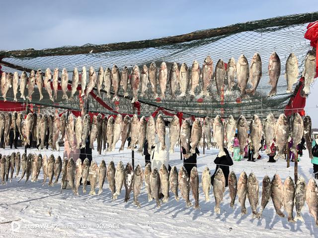 黑龙江牡丹江：镜泊湖千年大冬捕焕发渔猎文化新活力