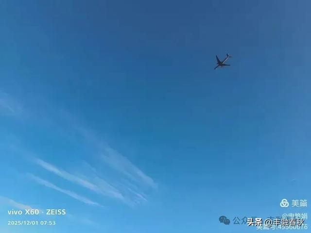 初冬北京朝阳坝河金盏淀:清寒里的静美画卷|申艳娟