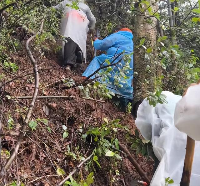 自闭男童尸检出炉！死因曝光，不是溺亡，家属发声，残酷内幕被扒