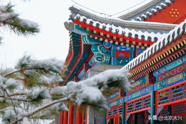 北京等雪来！故宫约不上？大兴团河行宫遗址公园藏着一样美的皇家雪景