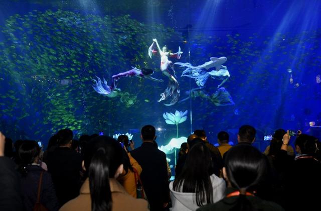“沉浸式体验令人难忘”，120余位嘉宾郑州打卡“幻乐之城”