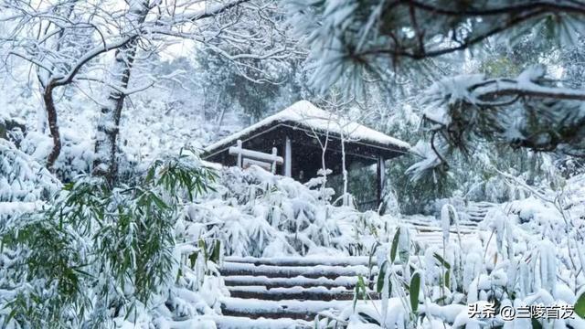 冬享沂蒙过大年｜雪落沂蒙，山河藏暖