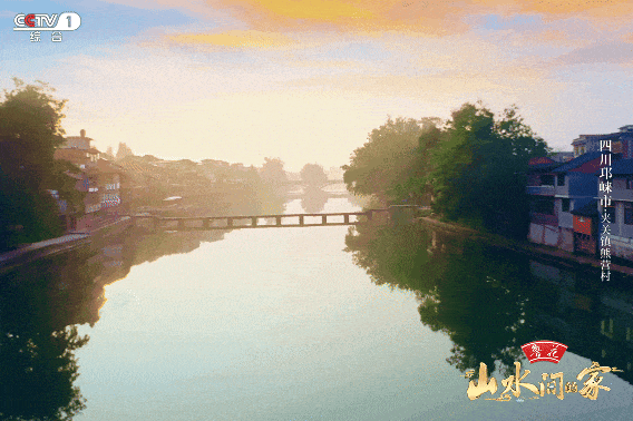 近悦远来·营城兴业丨夹关镇：“日茶夜酒”飘香，万亩茶园“长出”新业态