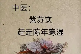 一物降一物！紫苏专治陈年寒湿图片