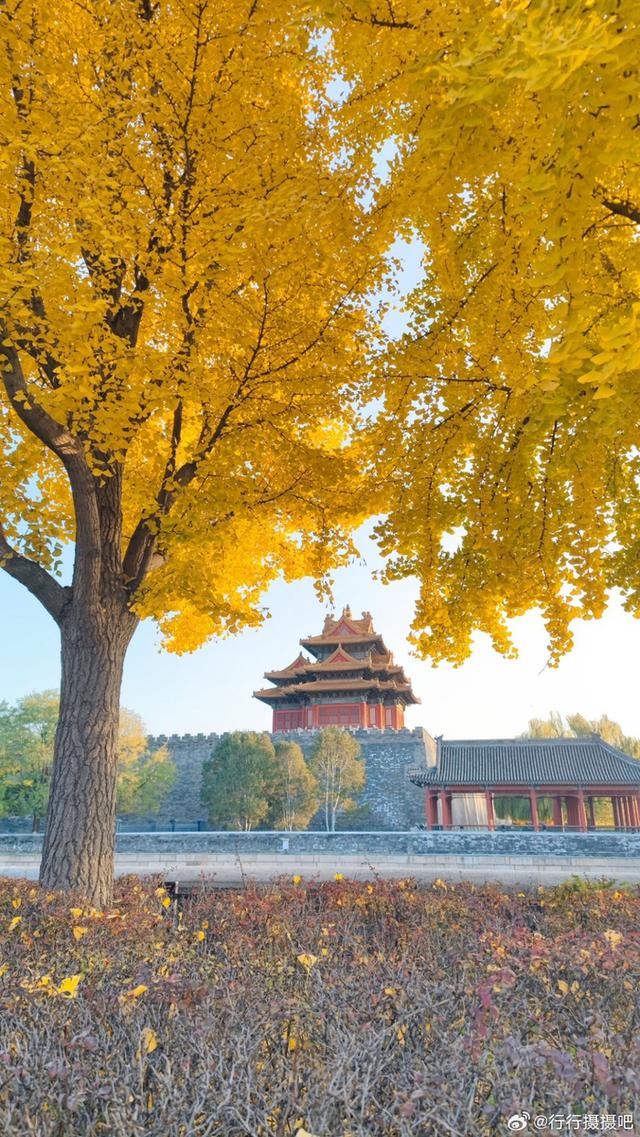 北京故宫的角楼您了解多少，来北京必打卡拍照地，来看一看