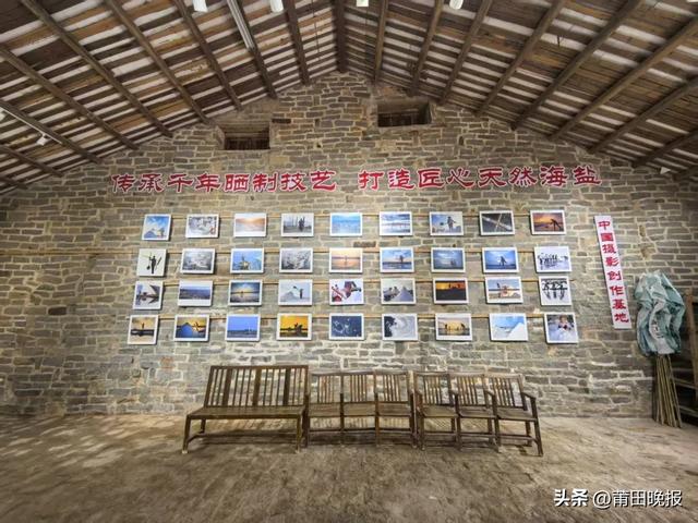 晚报记者带你探寻千年盐场的生态密码