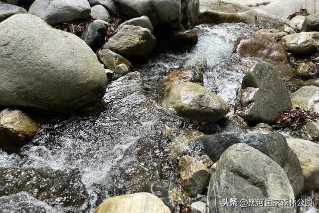绿野仙踪+山水秘境！快来黑河抓住夏天的尾巴，奔赴一场绿意清凉之约