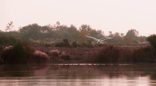 @明光人，来女山湖罗咀，当一天“闲云野鹤”