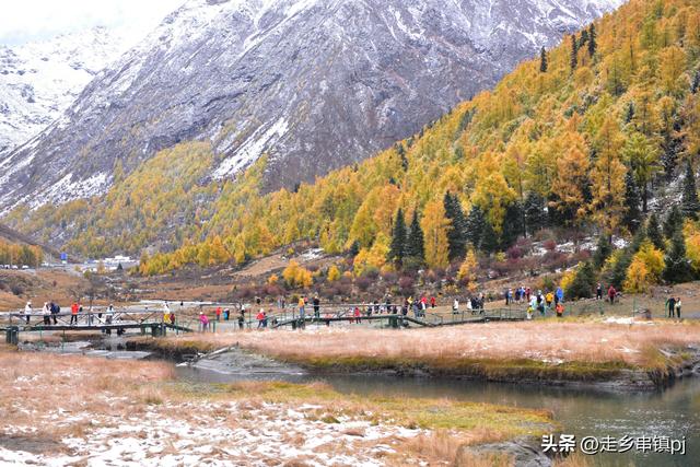 深秋走进理小路