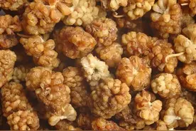 夏季多吃桑椹比蓝莓还要好，一次买20斤晾干，随吃随取十分方便图片