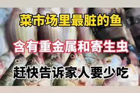 菜市场里最脏的鱼，含有重金属和寄生虫，赶快告诉家人要少吃！图片