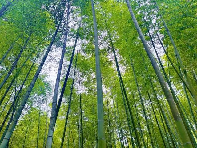 不止耍水过瘾，加油还有福利！暑假旅行第一站去哪？