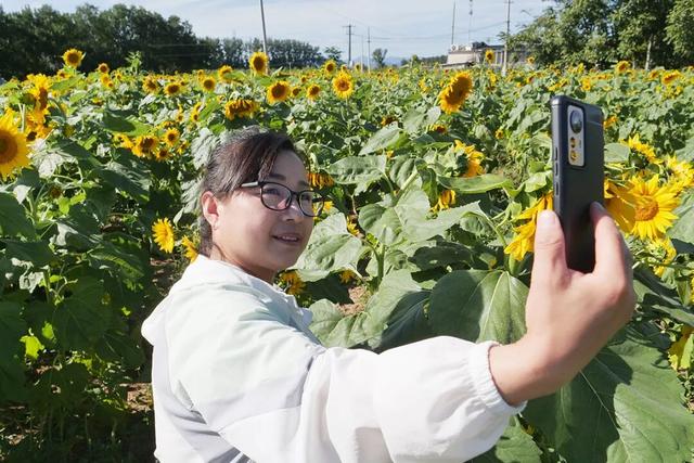 藏不住了！顺义秋日限定花海，安排——
