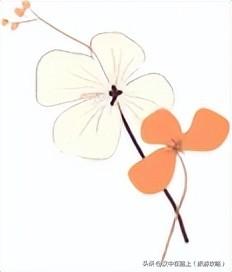 汉中这处红叶已进入最佳观赏期