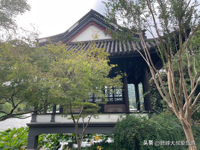 老杭州人才知道的“西湖秘境”真赞，中式氛围拉满，可拍人生大片
