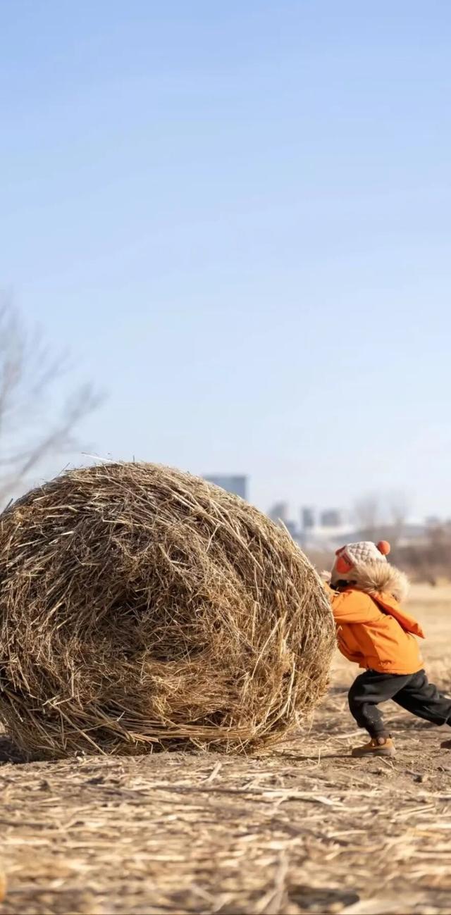 哇！赛汗塔拉里，好多好多“瑞士卷”