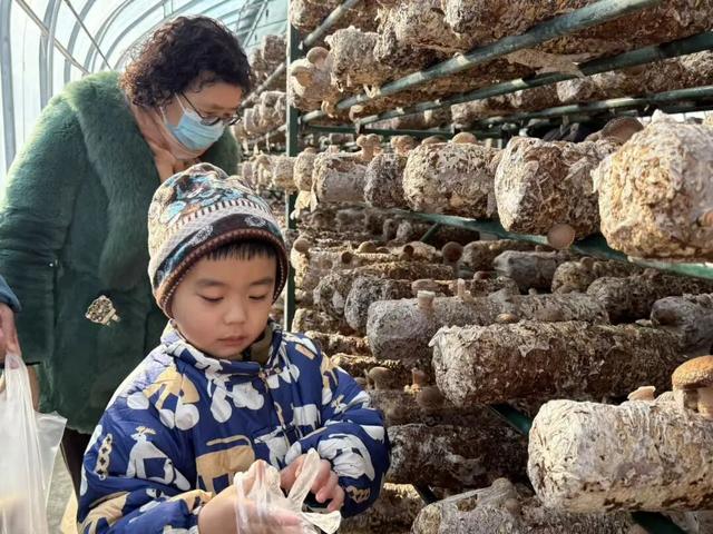 刚刚传来，颍东竟有这么多宝藏地？！今天，好多阜阳人都去了！直击现场......