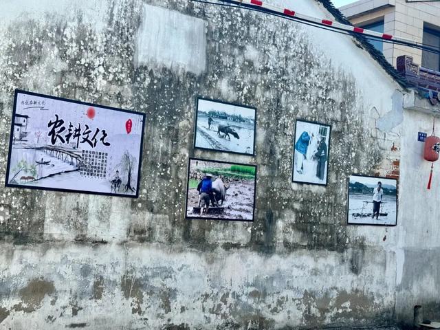 实地探访“江苏美丽乡村”、丹阳访仙镇草塘村漂亮的乡村环境