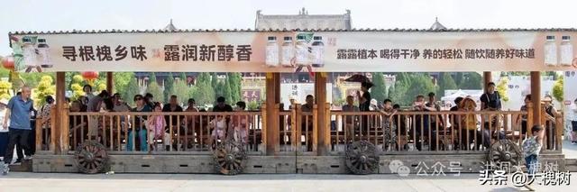 植饮寻根 露润槐乡洪洞大槐树景区孝德文化节不一样的体验
