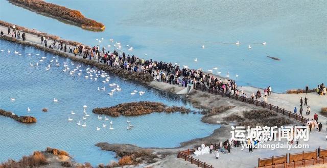 “淡季不淡”，运城文旅持续火热
