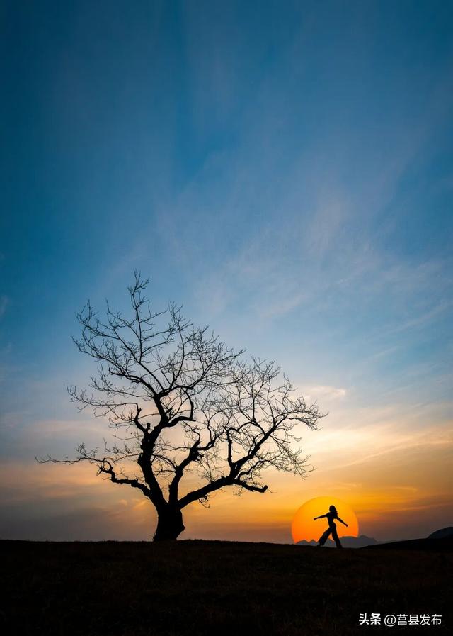 「 日 照 」 为何能成为康养优选地？