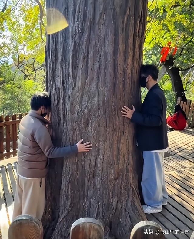 朱媛媛离世5个月，辛柏青寺庙露面，女儿扶着下楼，李乃文也在