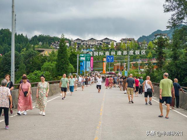 清凉经济热力十足！洪雅瓦屋山镇成避暑“顶流”