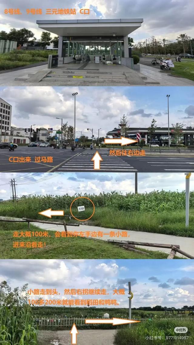 地铁直达！美爆！成都8个秋日限定美景上新！实拍免费，抓紧时间冲！