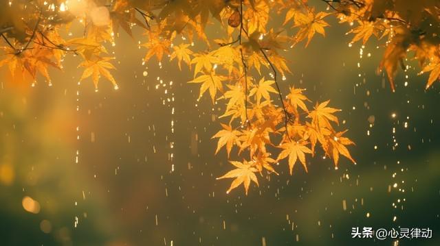 “不怕出伏雨，就怕出伏晴”，今日出伏,晴天有啥预兆?还要热多久
