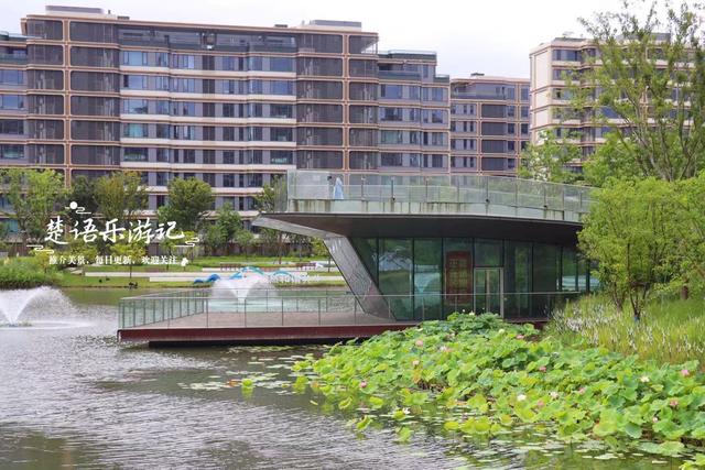 浙江宁波的新兴游玩地，多个公园相邻而居，多个荷花池美不胜收