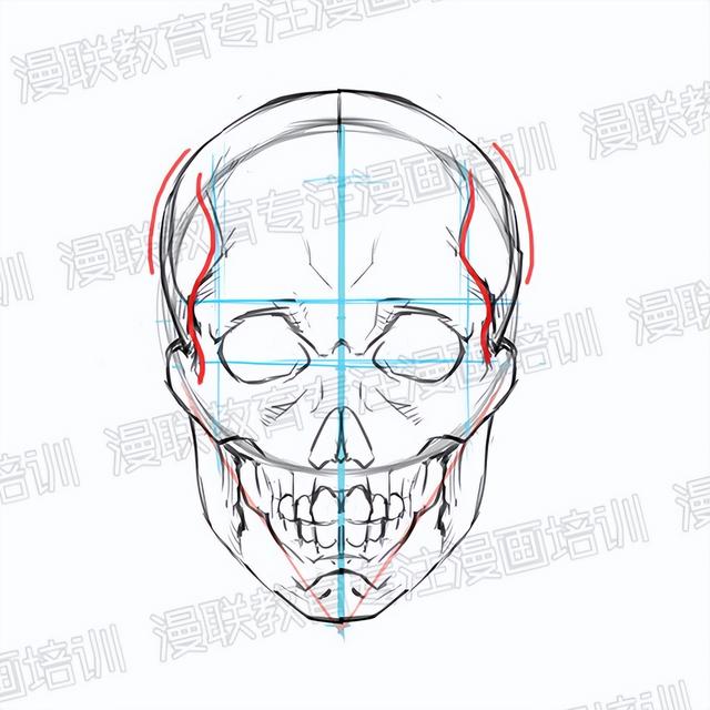 零基础绘画教程！正脸和侧脸的超详细画法讲解