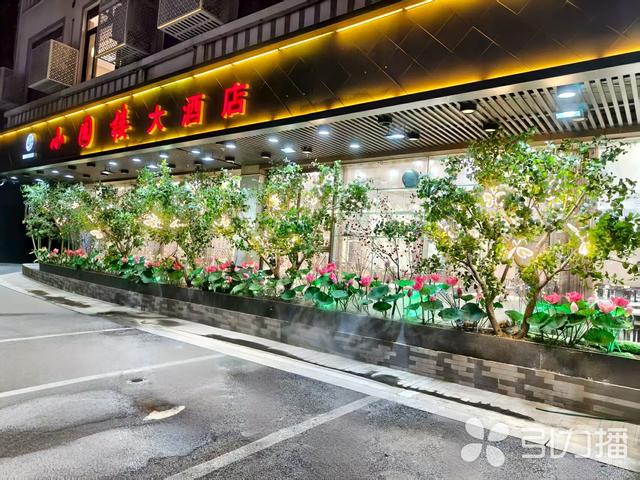 苏州三条荷花宴赏味线路来了