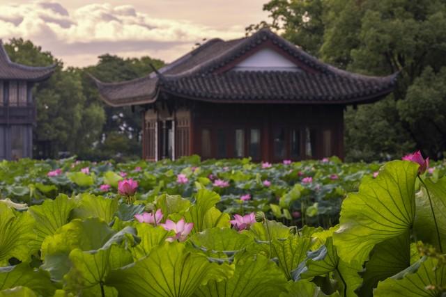 杭州一日漫游指南：湖山入画，打卡西湖最美的诗与远方
