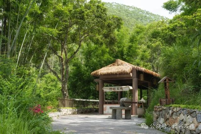 茂名唯一！🤳信宜虎跳峡景区上榜广东消费新场景案例