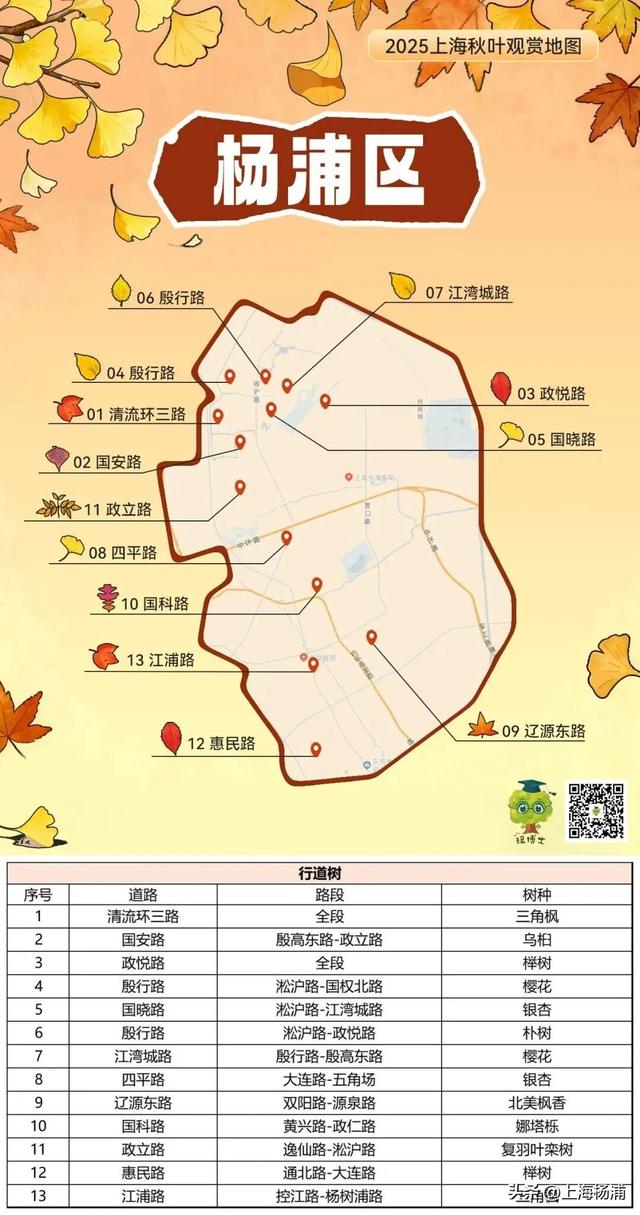 杨浦“赏秋地图”来啦！拿好→出发！