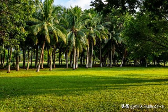 原来海口的冬天也会冷