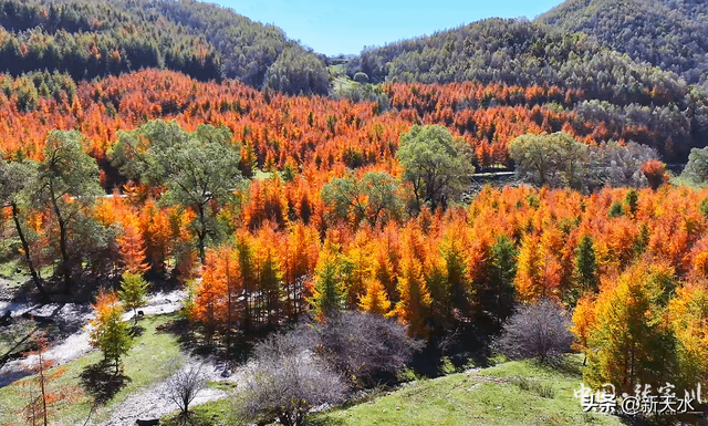 秋韵未歇：张家川山水的立冬回眸