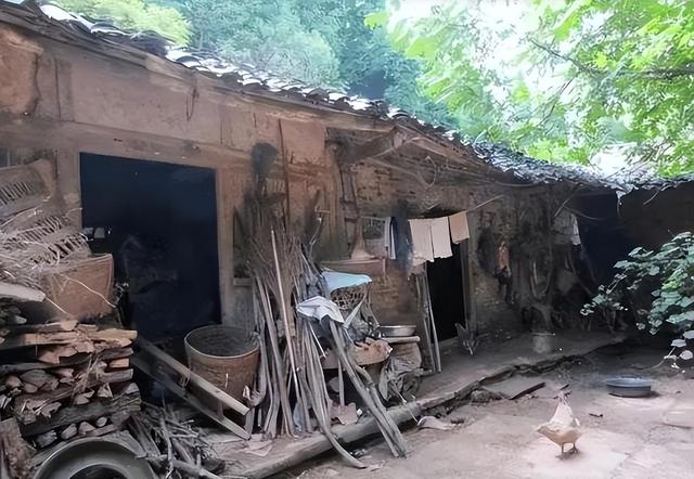 两度辍学考上北大	，24岁葬于八宝山，撒贝宁含泪致悼词，她是谁？