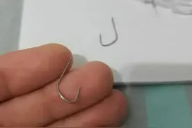 野钓哪种鱼钩最好用？想要大小兼顾，你得这样选图片