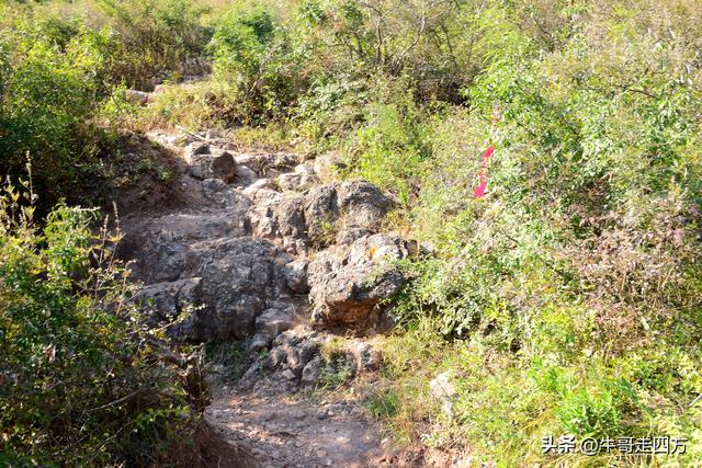 延庆应梦寺（五）：山巅极目收千嶂，林海听风涤尘心