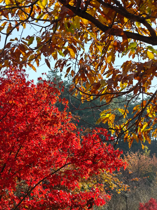跟着色彩游临沂 | 斑斓秘境・山水写生之旅，解锁秋染沂蒙的N种美好