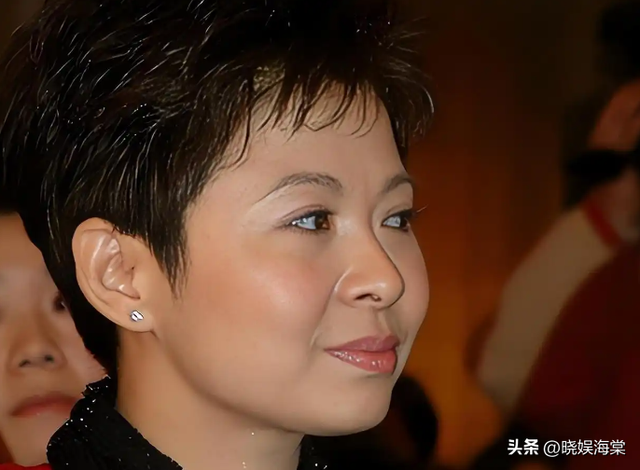 董文华不再沉寂，被“封杀”多年后揭露真相，当年是我们错怪她了