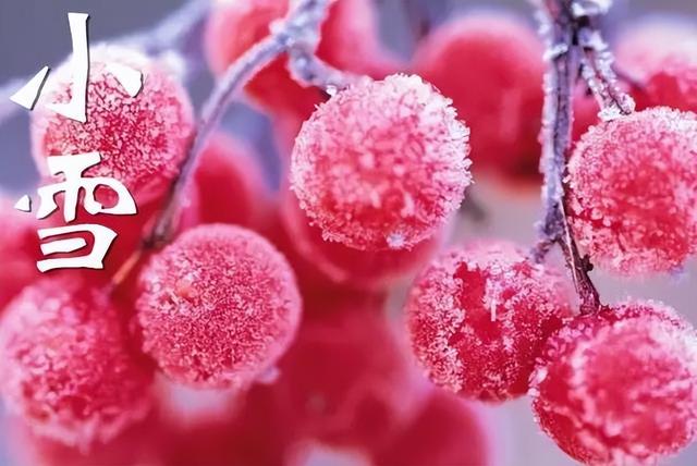 “上午小雪，冻死牛；下午小雪，暖烘烘”	，今年几点小雪？