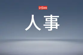 山东省政府最新人事任免图片